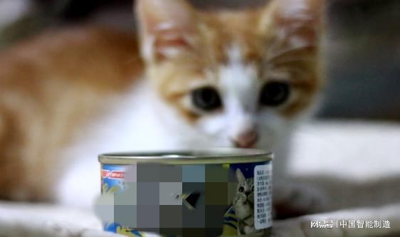 它經(jīng)濟風(fēng)起，國產(chǎn)寵物食品品牌陣營持續(xù)壯大